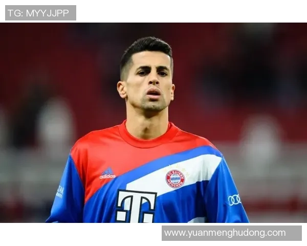 坎塞洛在球队中的角色转变与未来发展潜力分析 坎塞洛在球队中的角色转变与未来发展潜力分析