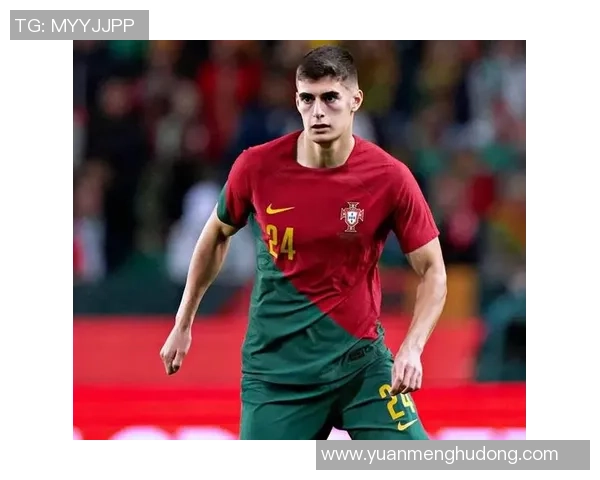 鲁本迪亚斯：从新星崛起到世界顶级后卫的传奇之路