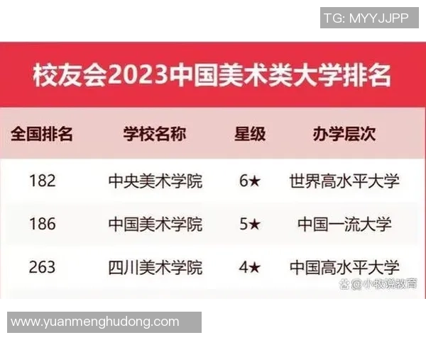 广州排球队耐力创新高引发全国关注展现强大实力与团队精神