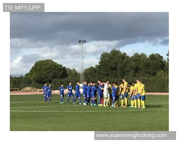 布伦瑞克与申花的精彩对决揭示足球魅力与团队精神的完美结合