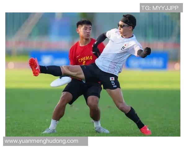 成都飞盘队区域防守体系解析与战术应用探讨