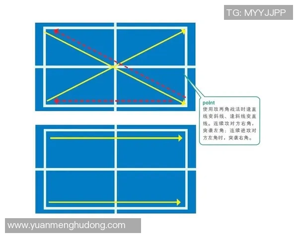 深圳乒乓球队的战术解析与阵地战深度剖析