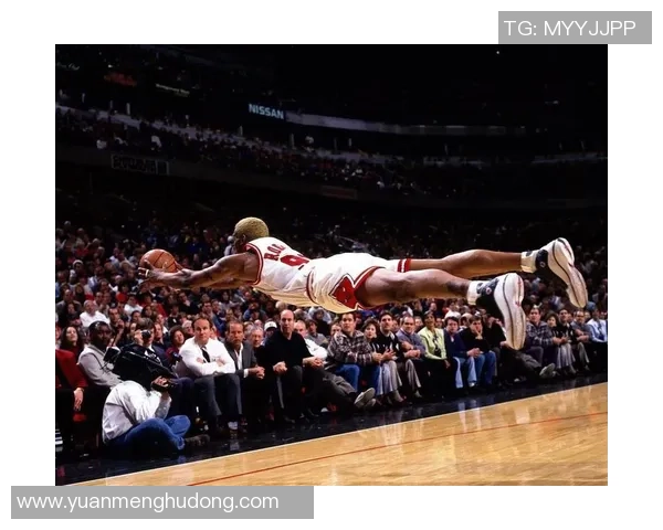 篮球明星的传奇旅程与场上风采的全景描绘