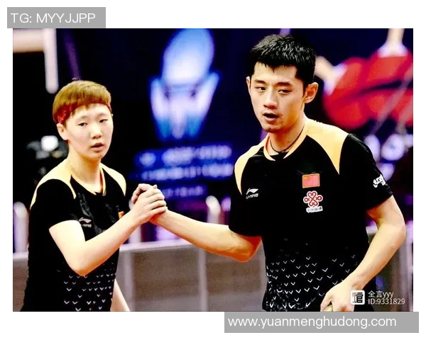 广州乒乓球队实力深度解析与对比分析探讨