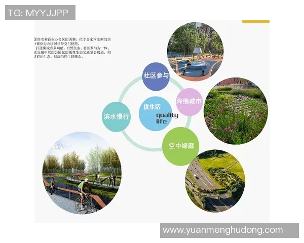 深入分析BLG战队的盯防策略与战术布局探讨